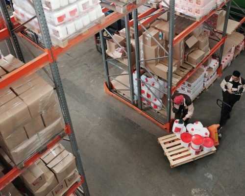 pexels-tiger-lily-4481529